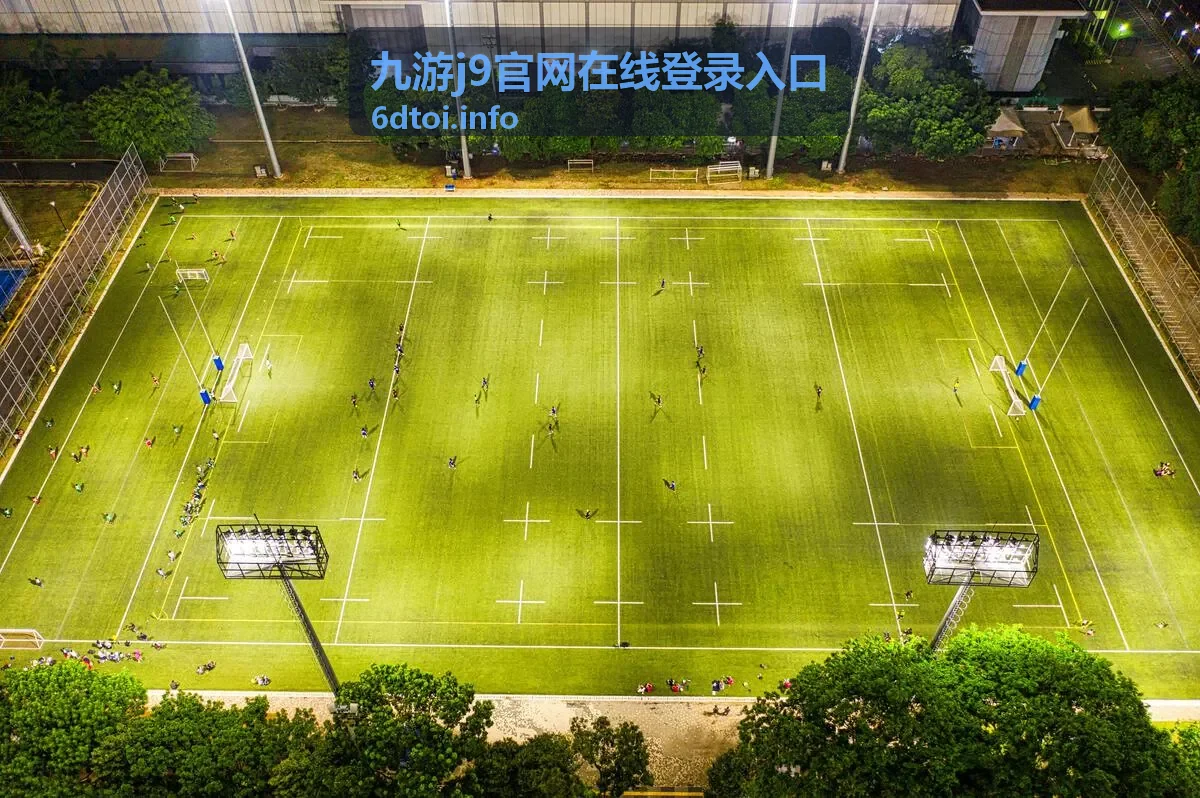 九游j9官网在线登录入口登录流程核对示意