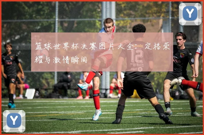 篮球世界杯决赛图片大全：定格荣耀与激情瞬间