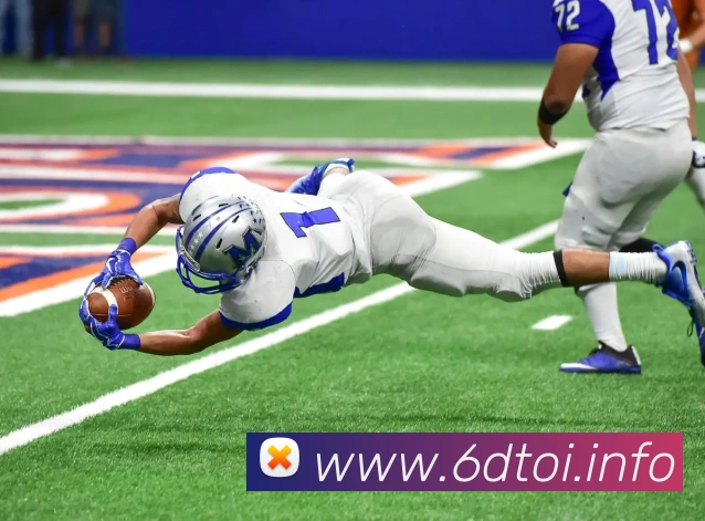 九游j9备用官网APP 体育赛事宣传图